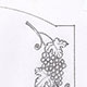 Drawing for lilies and grapes design