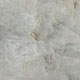 Polished Colonial White Granite
